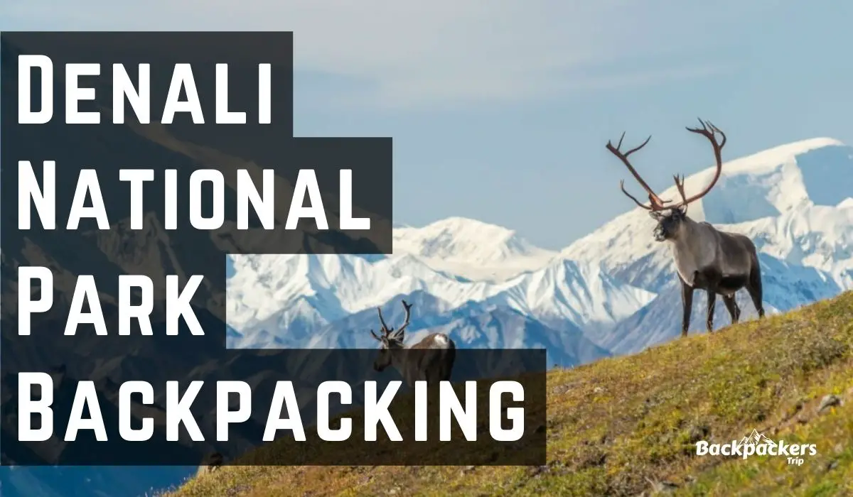 Denali National Park Backpacking