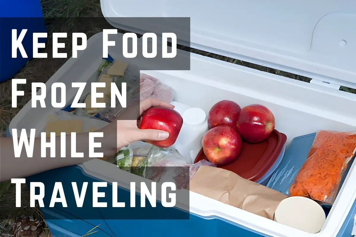 How to Keep Food Frozen While Traveling