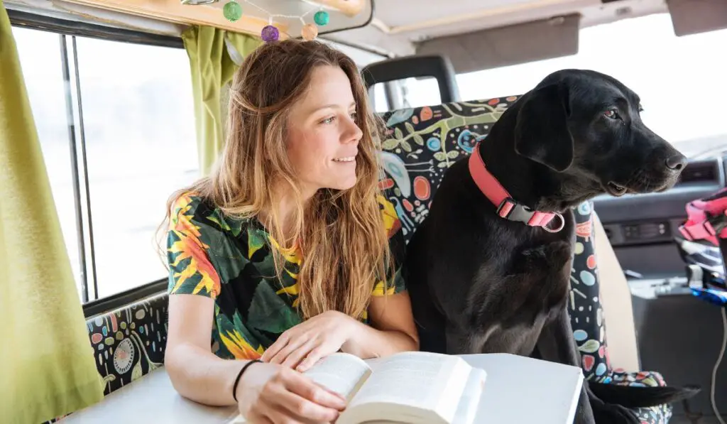 Pet Travel Essentials
