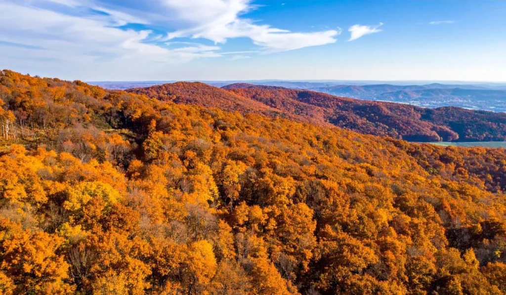 Access to Outdoor Activities