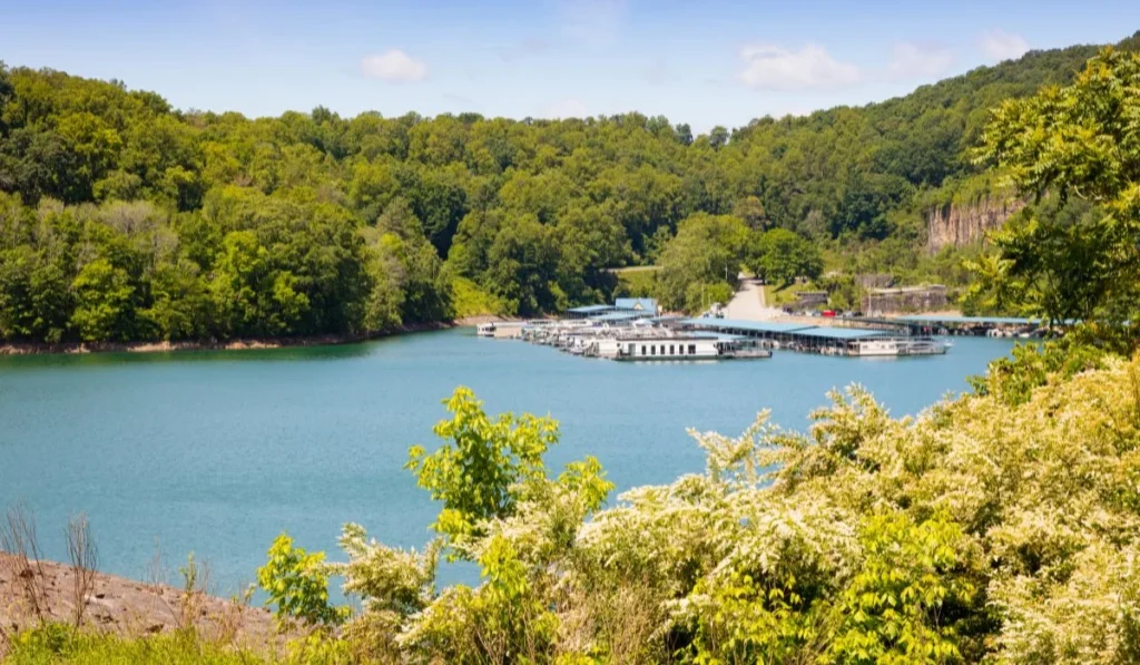 Norris Lake