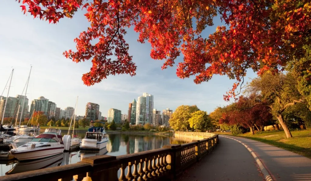 Tips for Enjoying Vancouver at Night